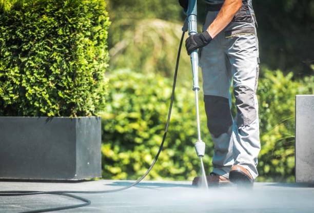 Best House Exterior Washing  in Lakeport, TX